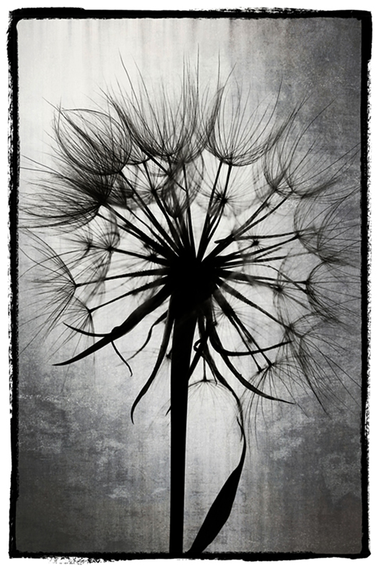 Third Place by Trudy Curtis